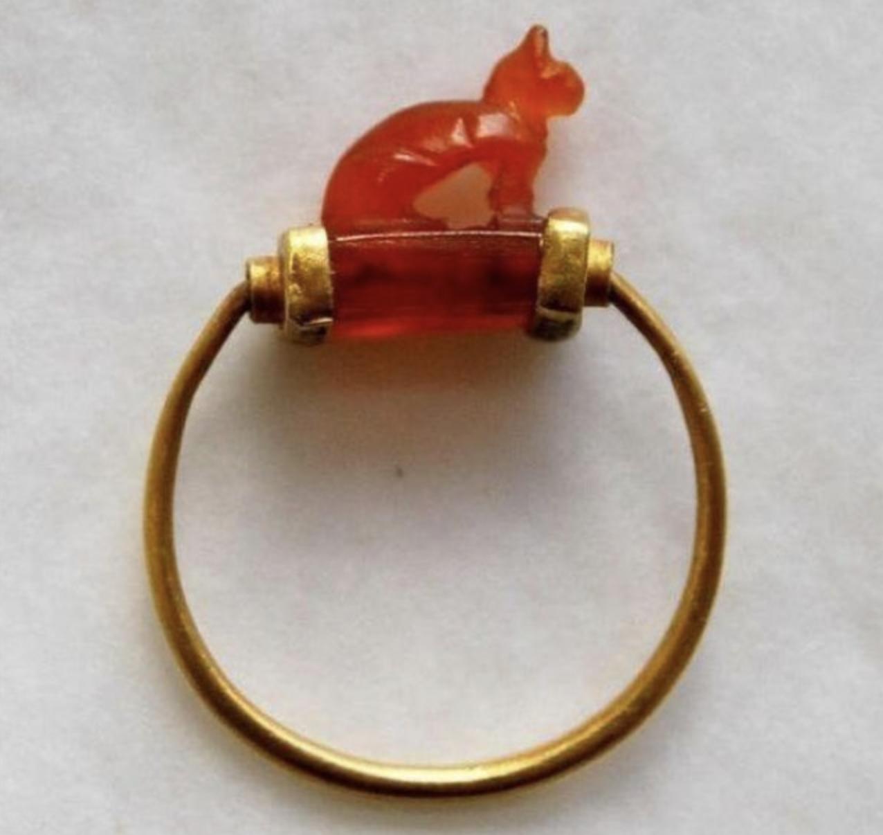 30张活久见的动物图,30张活久未见的老照片