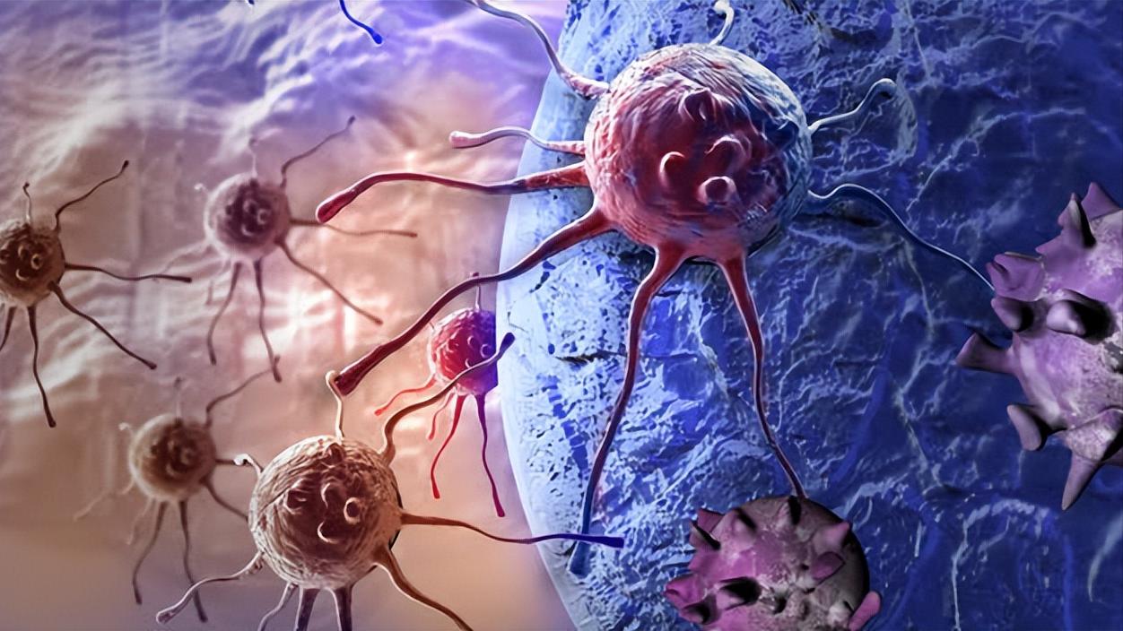 现在看病为什么动不动就要验血,医院里验血抽的血最后都去哪里了