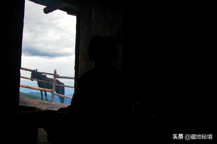 小说失踪假日,小说连载失踪的女人