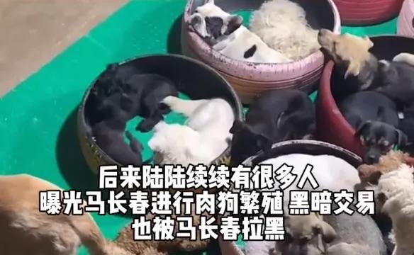 百万网红虐狗事件是真的吗,虐狗事件网红账号被封号