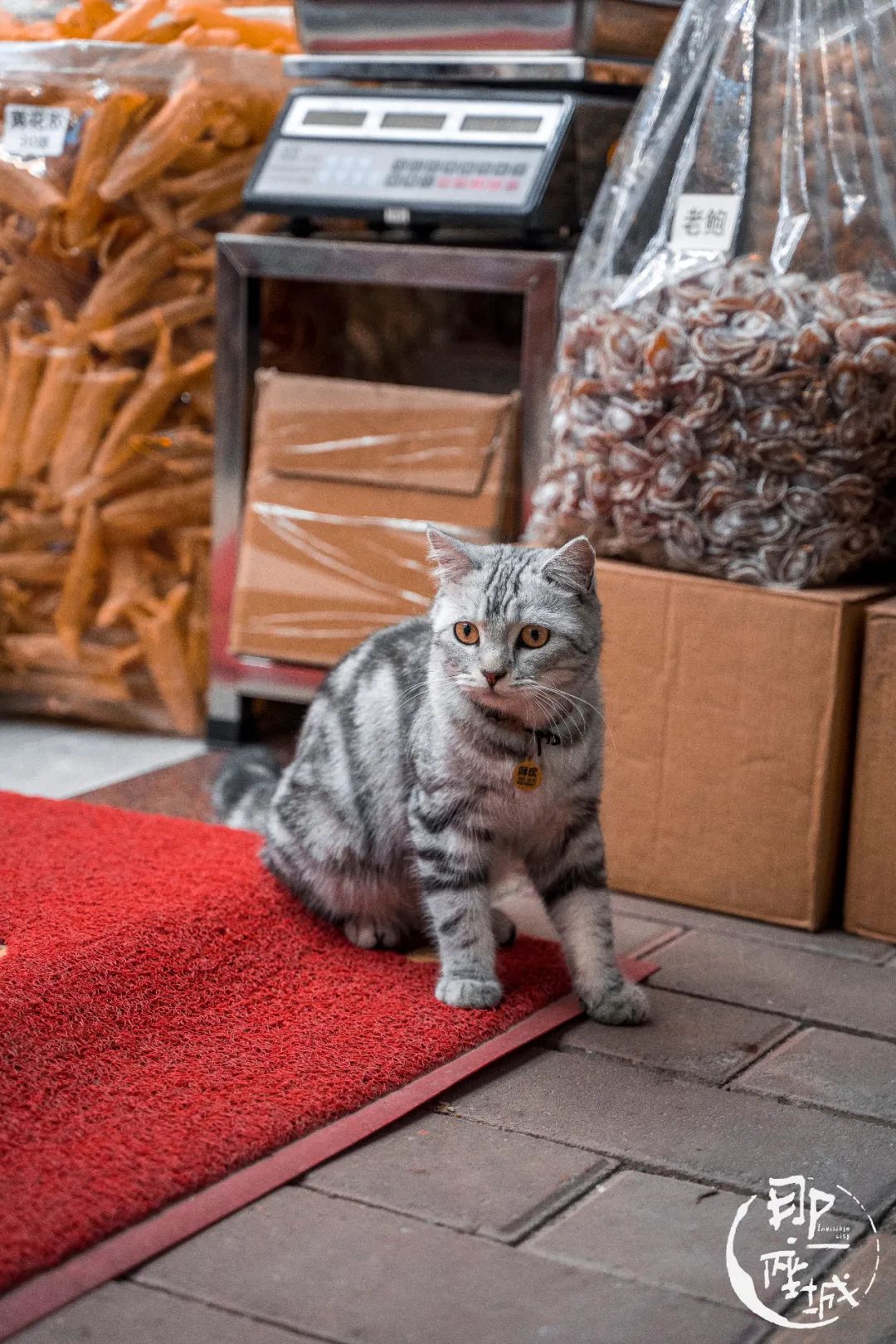 广州本草纲目化妆品,广州药典