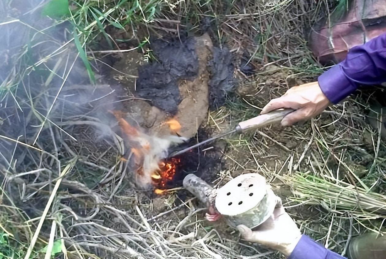 家里进蛇怎么办蛇怕什么,家里连续进了5次蛇