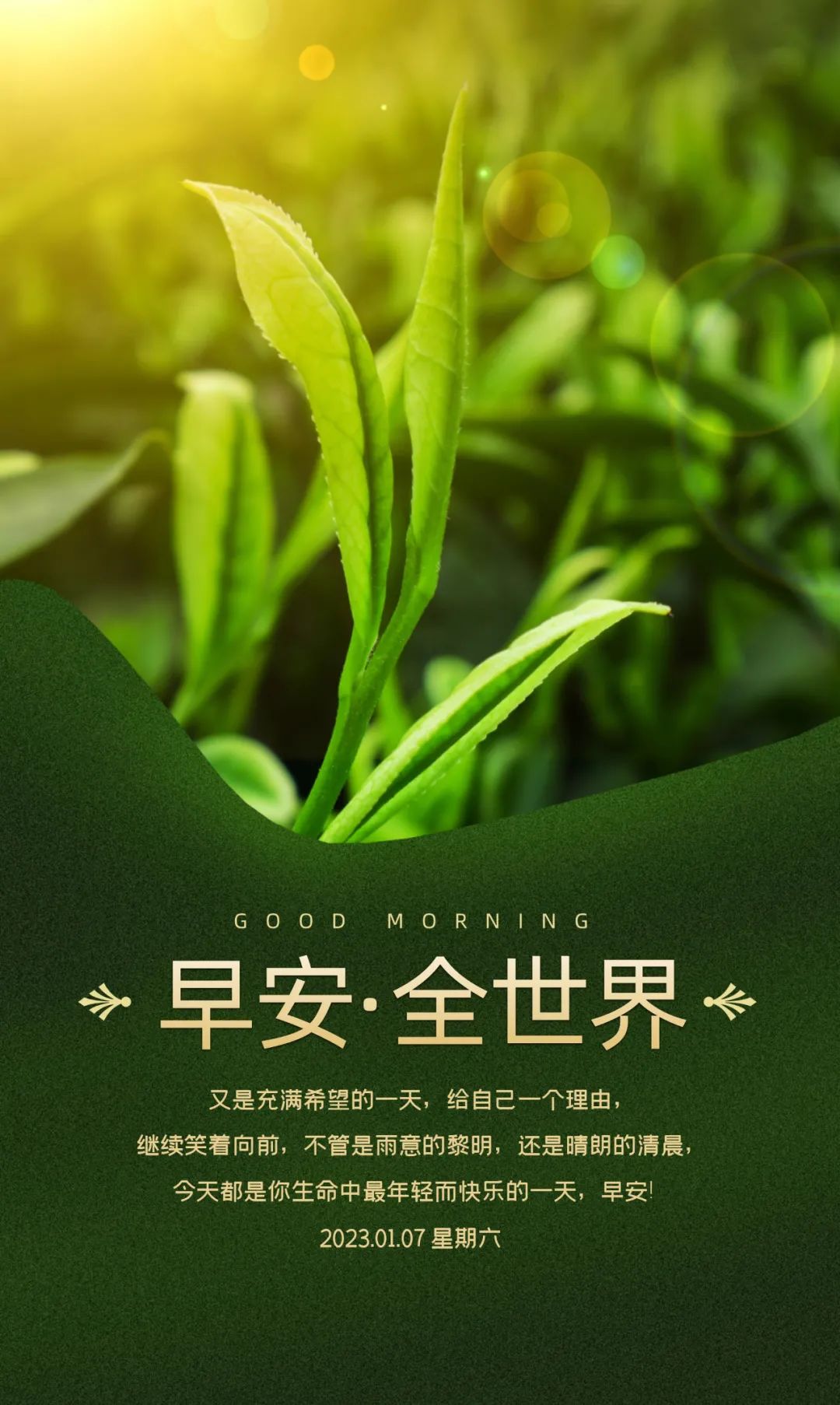 早安心语每日一语励志短句图片,早安问候语正能量努力的短句图片