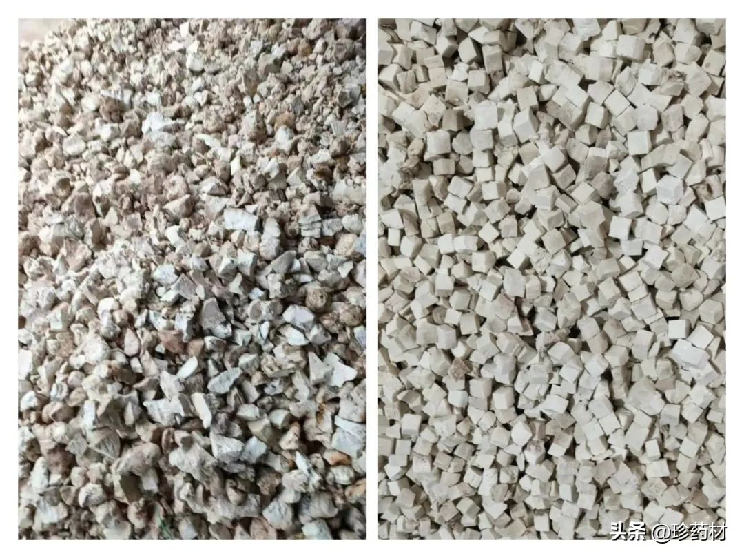 12月27日中药材市场快讯：连翘、柴胡、山楂、僵蚕、板蓝根、菊花