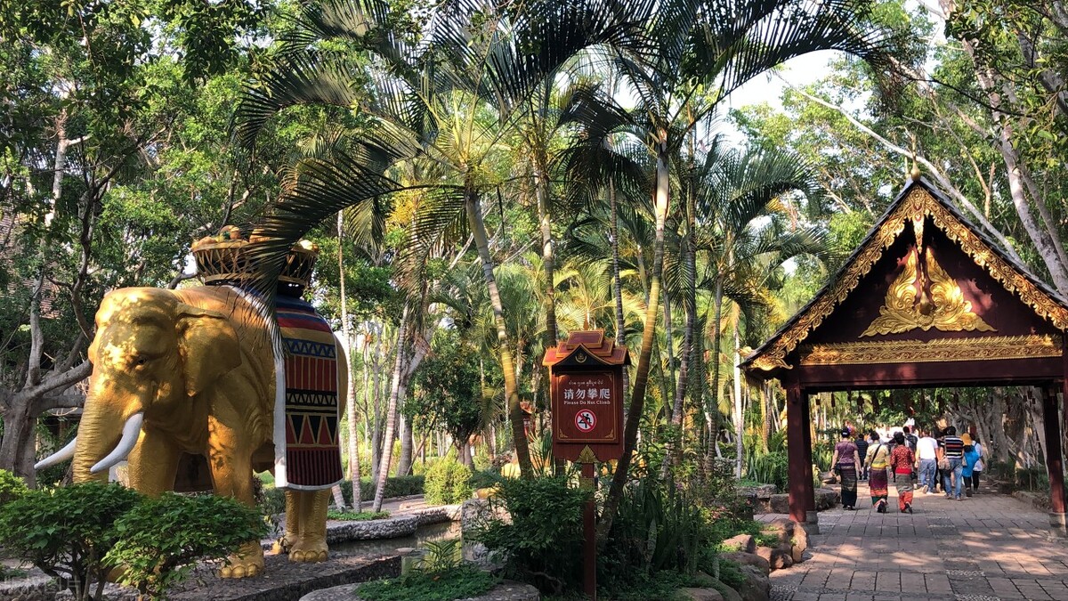 春节去云南哪里最好玩,云南春节人少旅游推荐