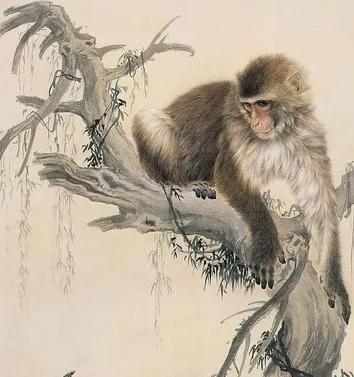 申猴和寅虎在什么情况下不相冲,寅虎申猴是哪年的