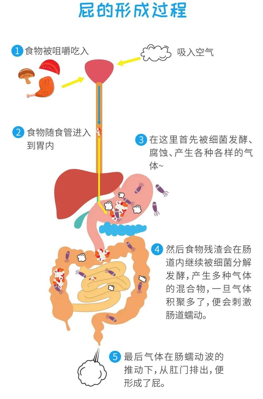 为啥打嗝好臭,为什么有的人打嗝不止