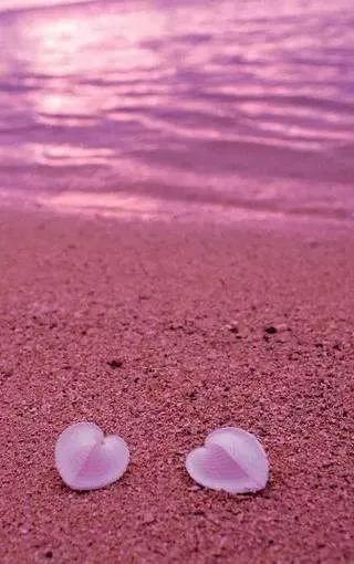 好看的的壁纸高清,好看的壁纸正方形图片