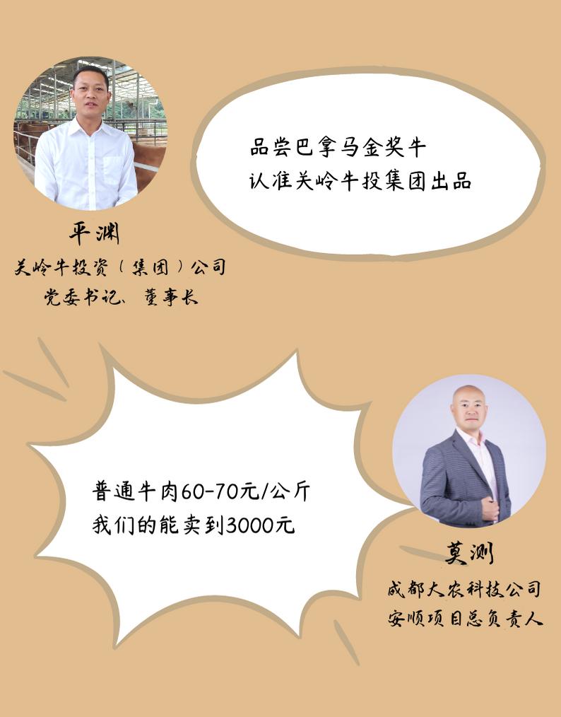 黄牛牛肉贵州,关岭黄牛有机牛肉