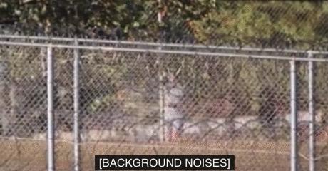 爱泼斯坦案*鸨老**监狱开启全新生活，锻炼交友，还吸引了一波迷妹