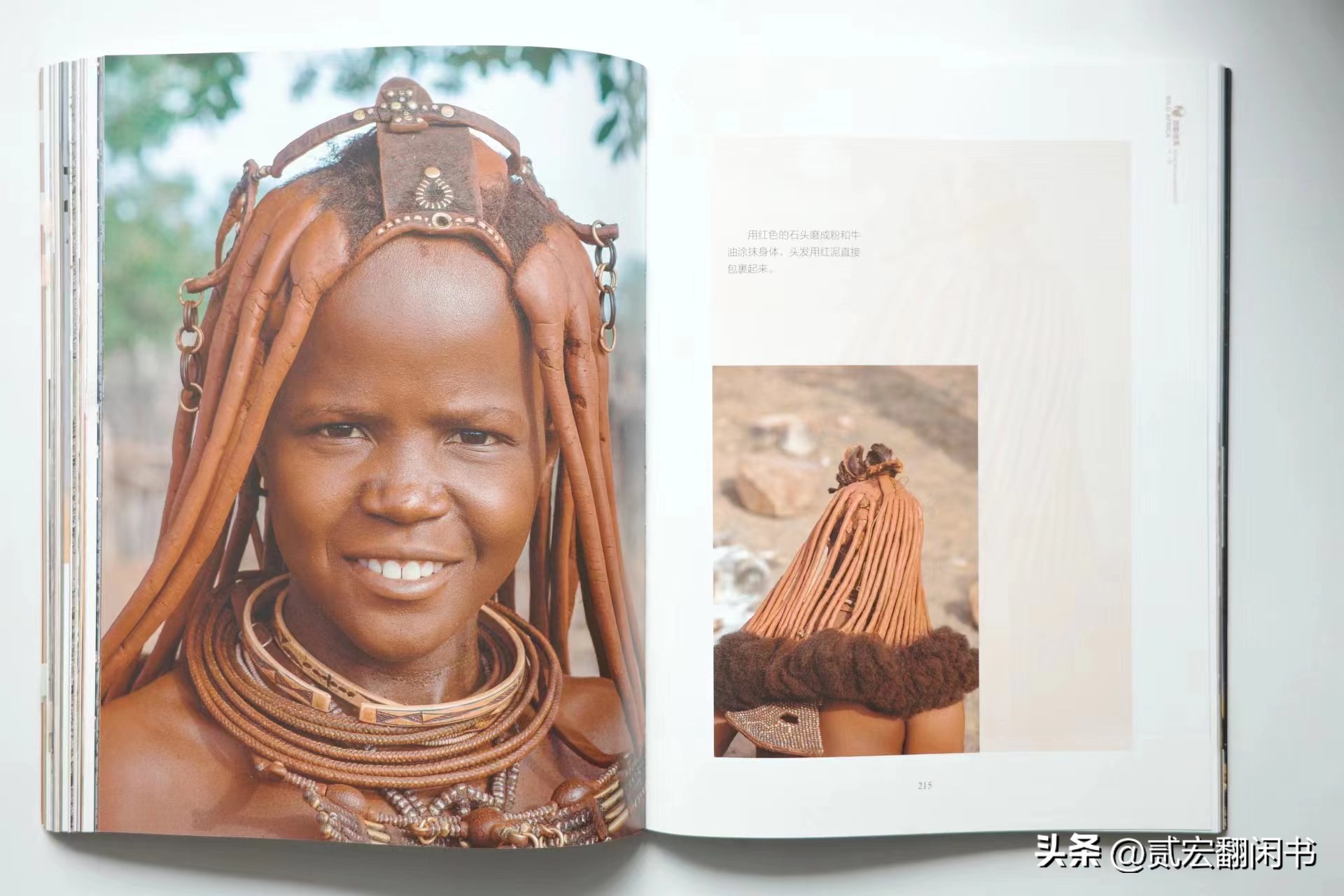 好想去非洲看动物大迁徙呀!先靠这书解馋吧