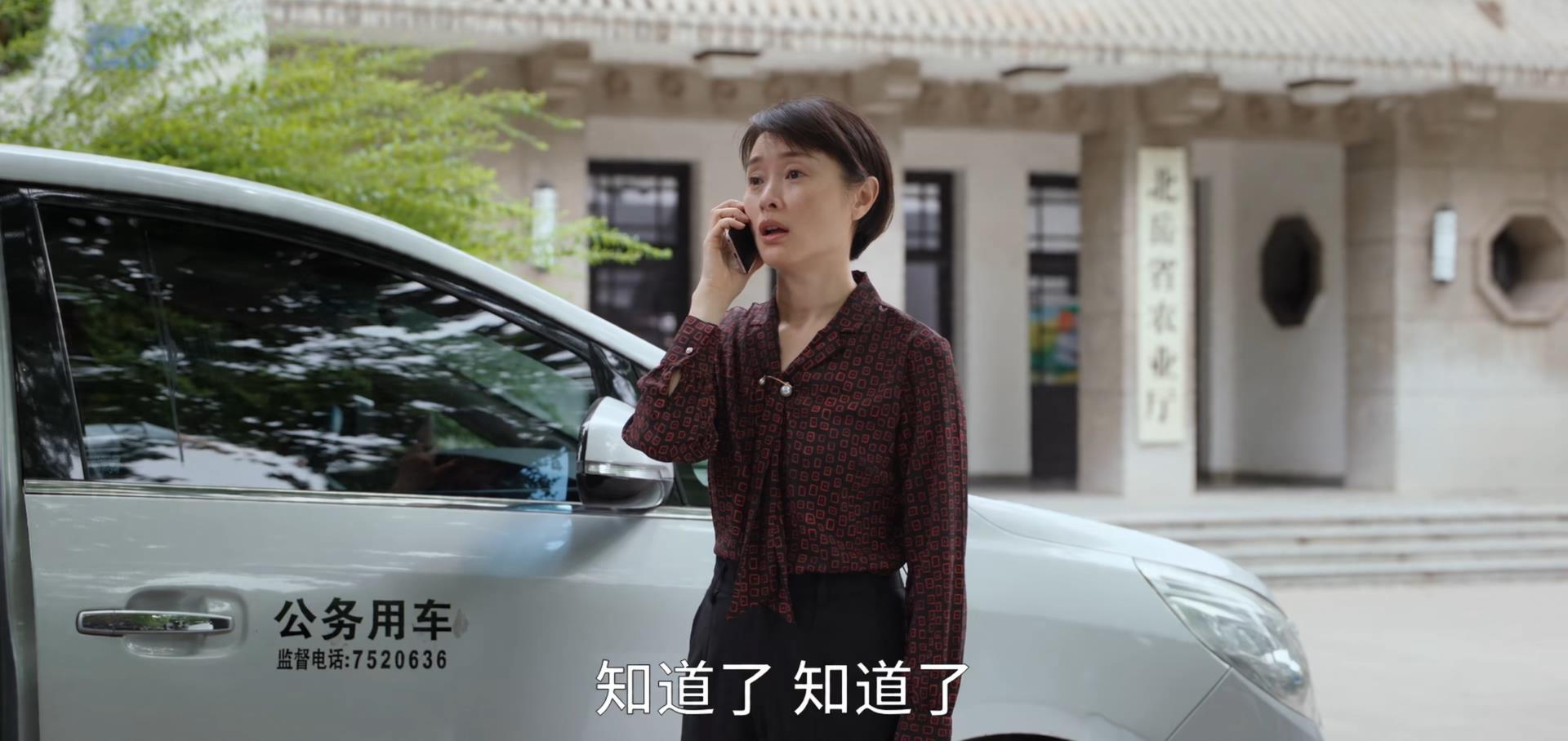 吴越年轻时的盛世容颜,吴越年轻时的样子