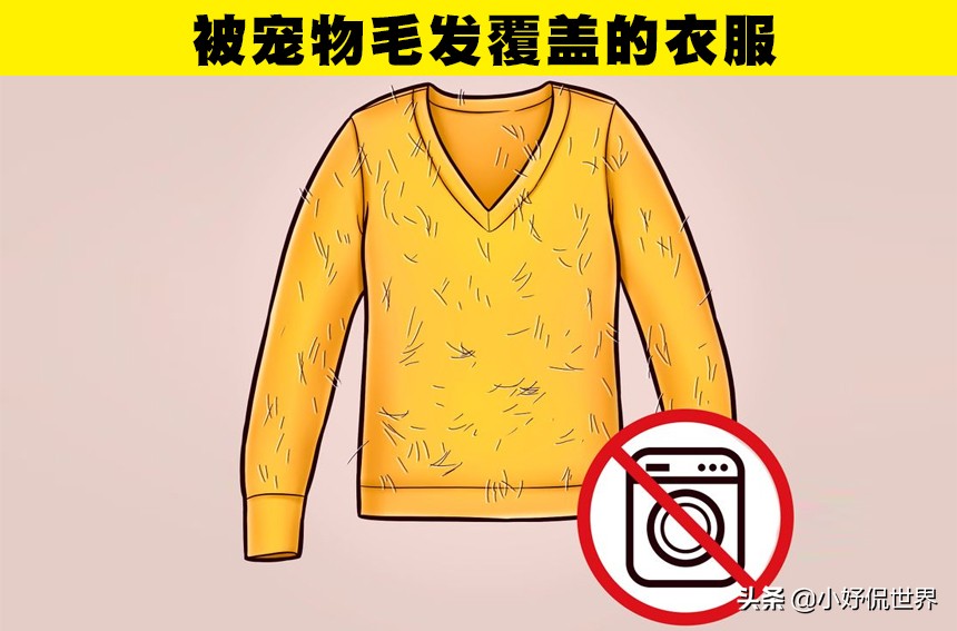 生活冷知识一定要告诉孩子,生活冷知识禁止废话