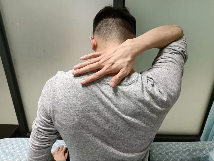 虎虎生威过新年,虎虎生威迎新年步骤