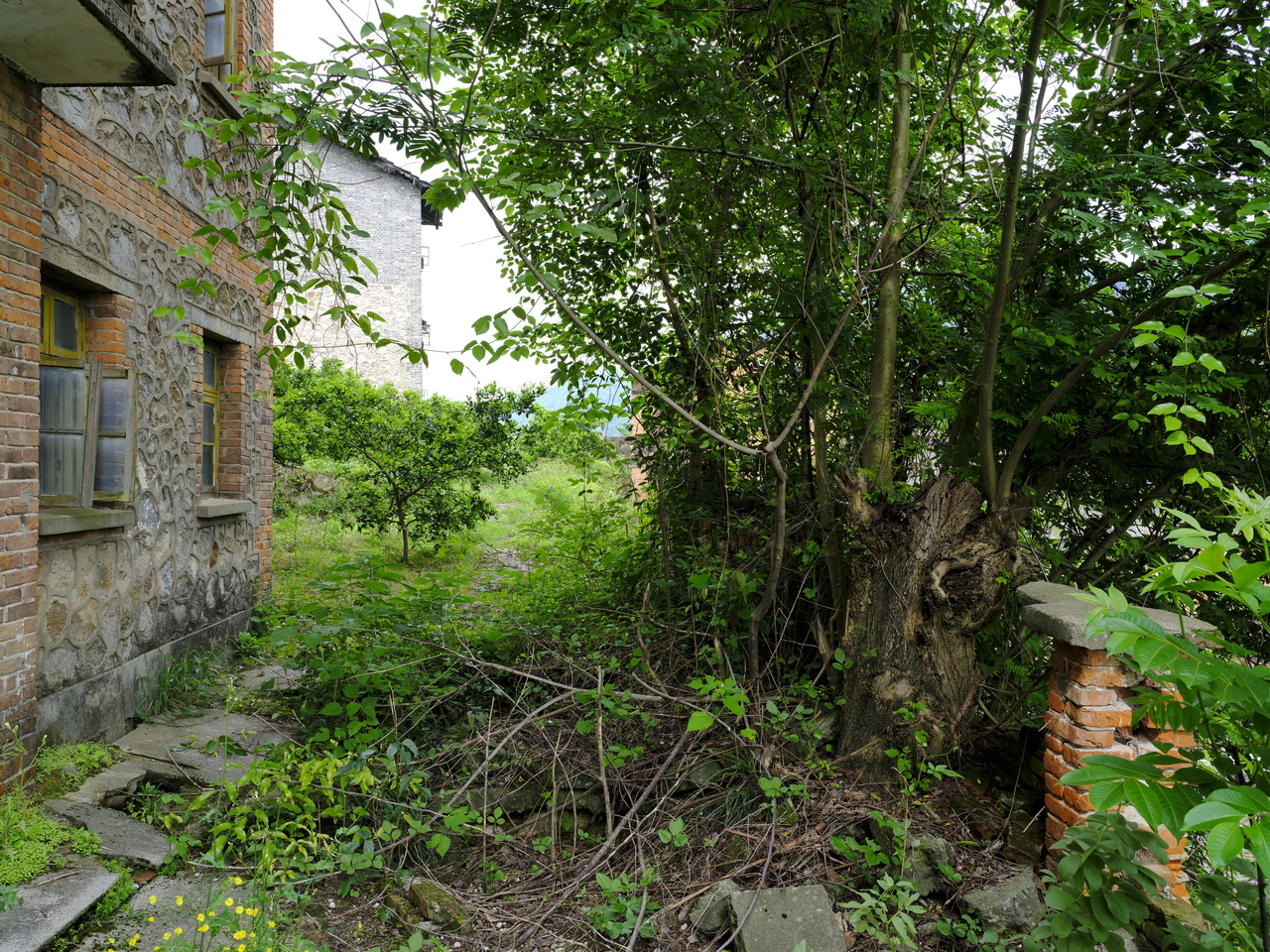 宜都717三线工厂,宜都717厂历史