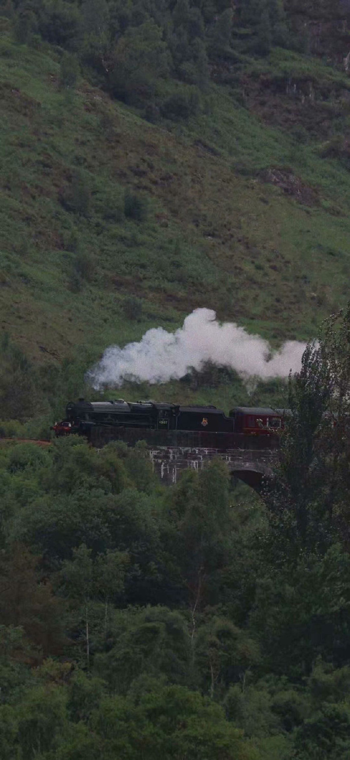 怎么会不喜欢綠色壁纸呢