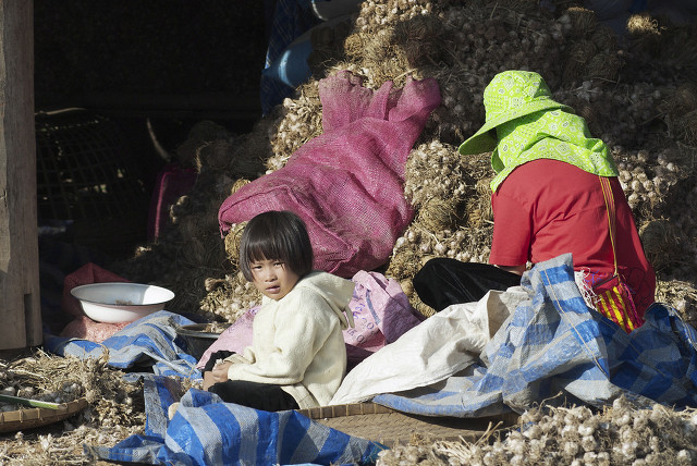 民族特色文化的发展趋势,56个民族里面文化最齐全的有哪些