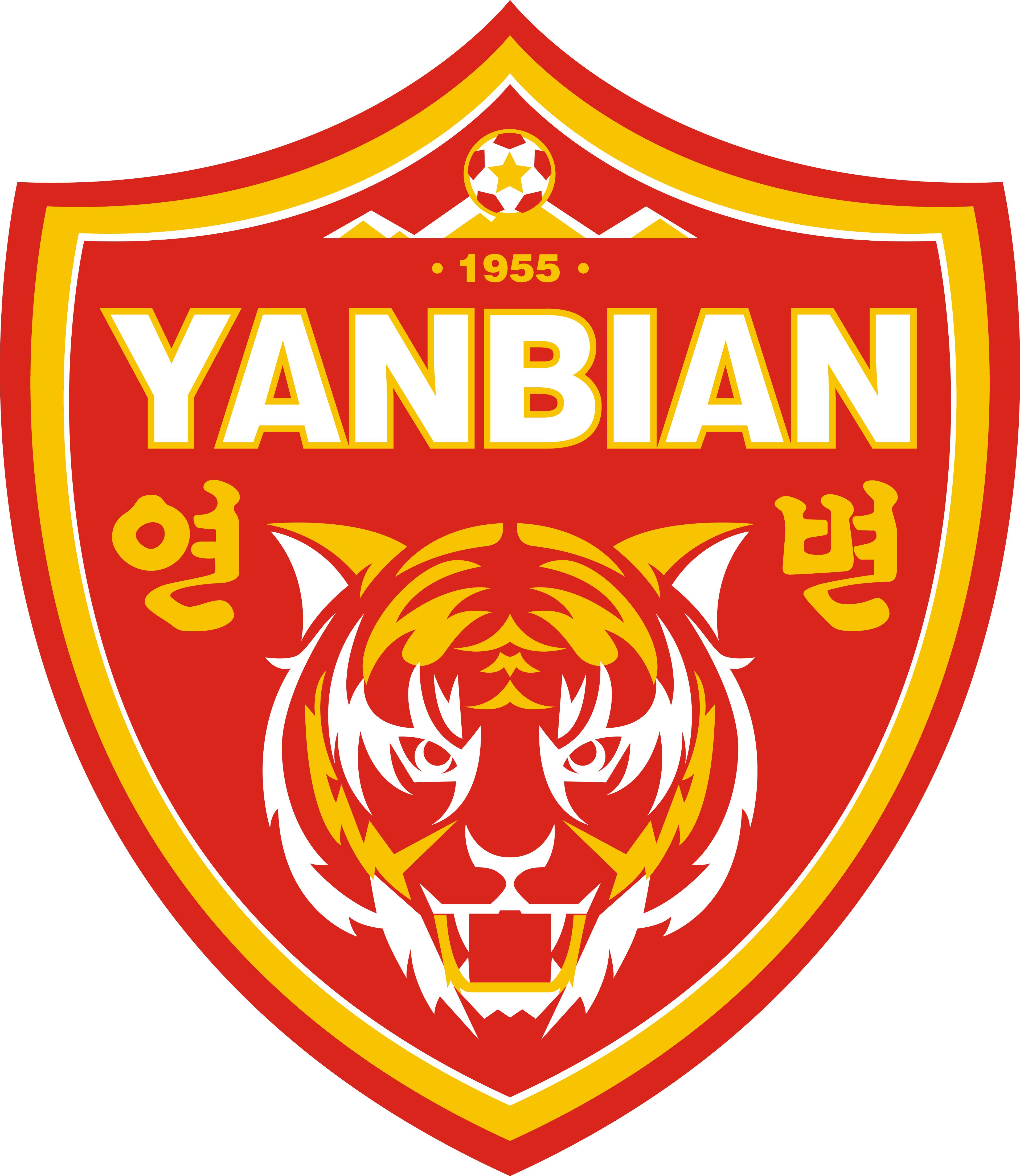 足球历史前20人排行榜,武汉足球历史十大球员