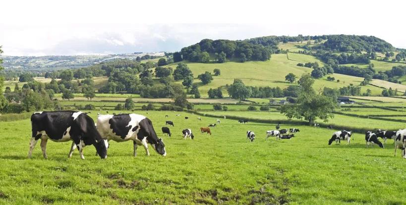 为什么现在妈妈奶粉便宜,为什么很多妈妈选择奶粉