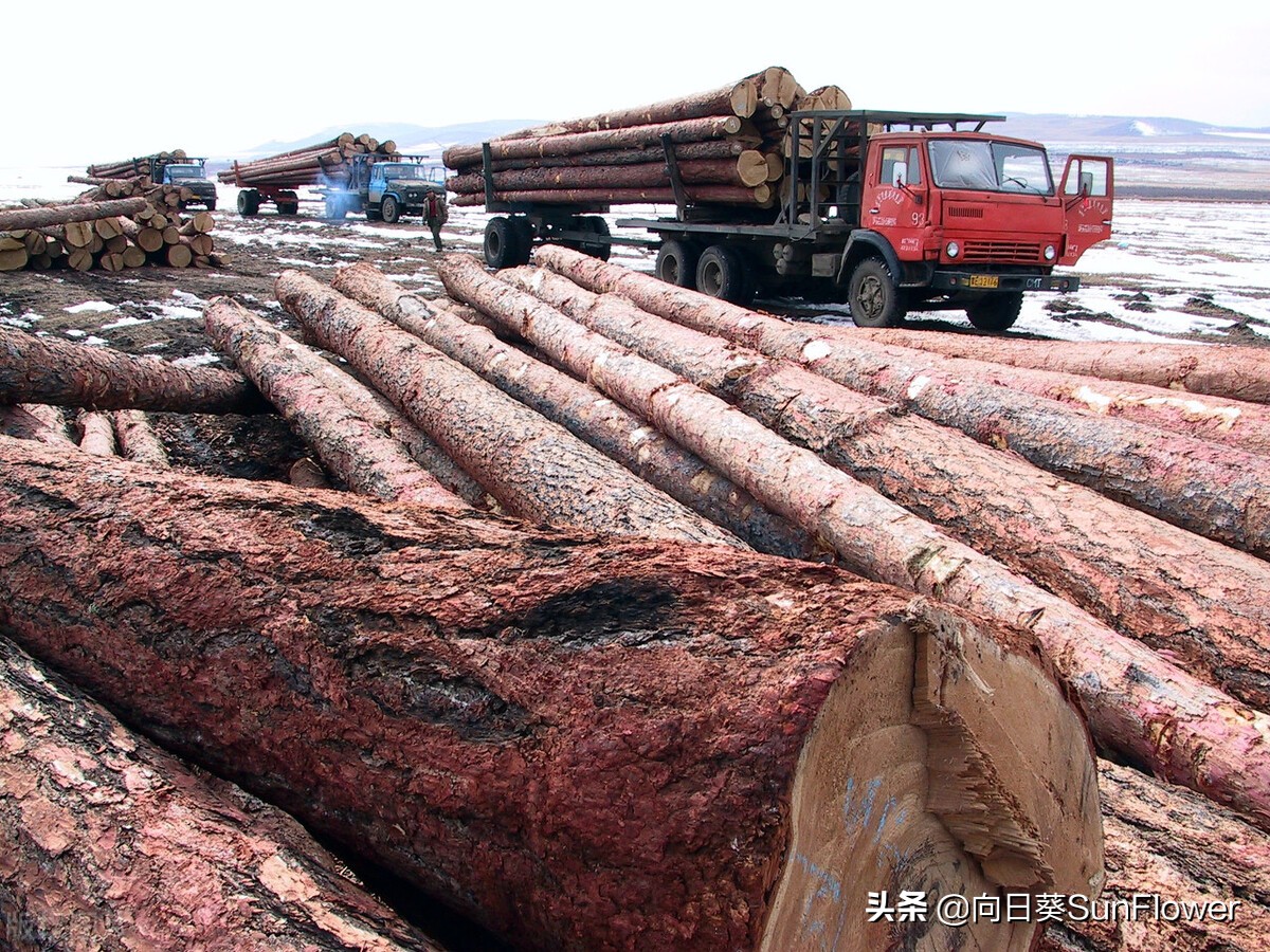 涓浗浜哄湪淇勭綏鏂仛鐢熸剰鐪熷疄缁忓巻,淇勫浗椋庢儏