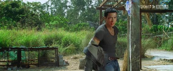 推荐几部甄子丹最能打的动作电影,甄子丹拍过三部巅峰时期动作片