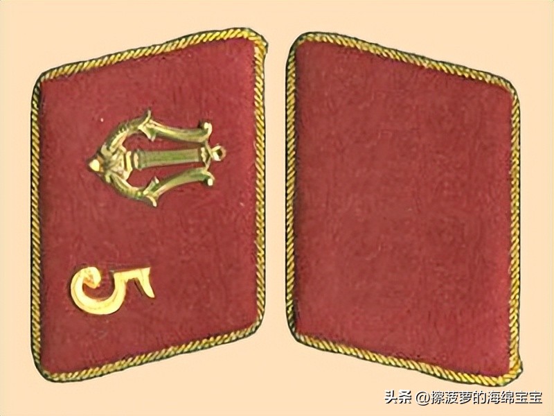 纳粹冲锋队用的什么枪,纳粹德军军衔图解