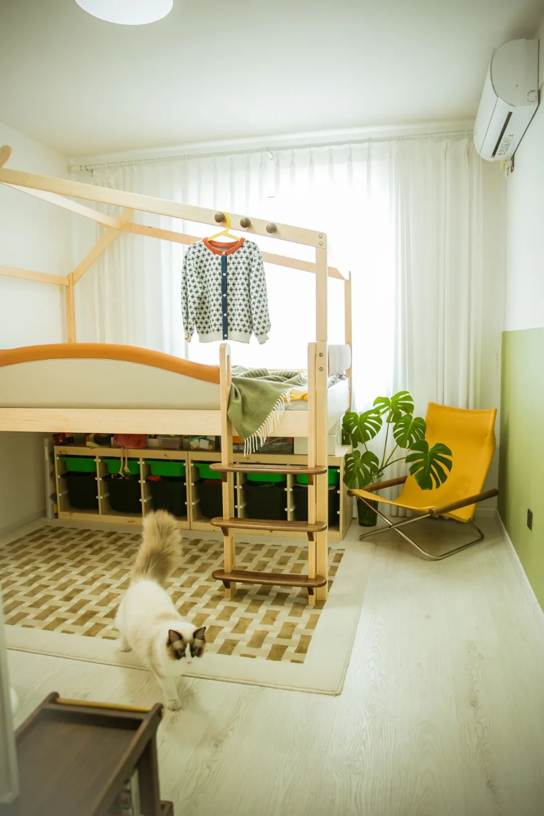 90后妈妈花3年时间,在北京打造室内“小森林”,满屋绿意