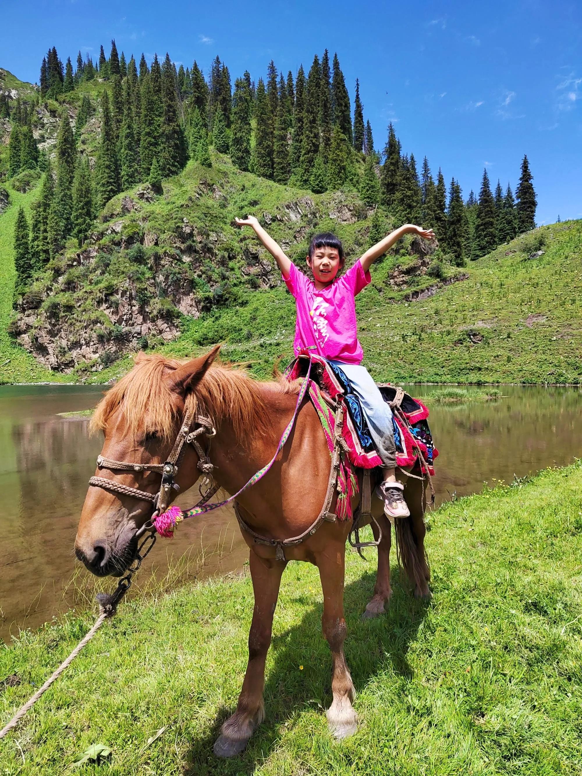 穿越森林探险视频,穿越森林探险之旅