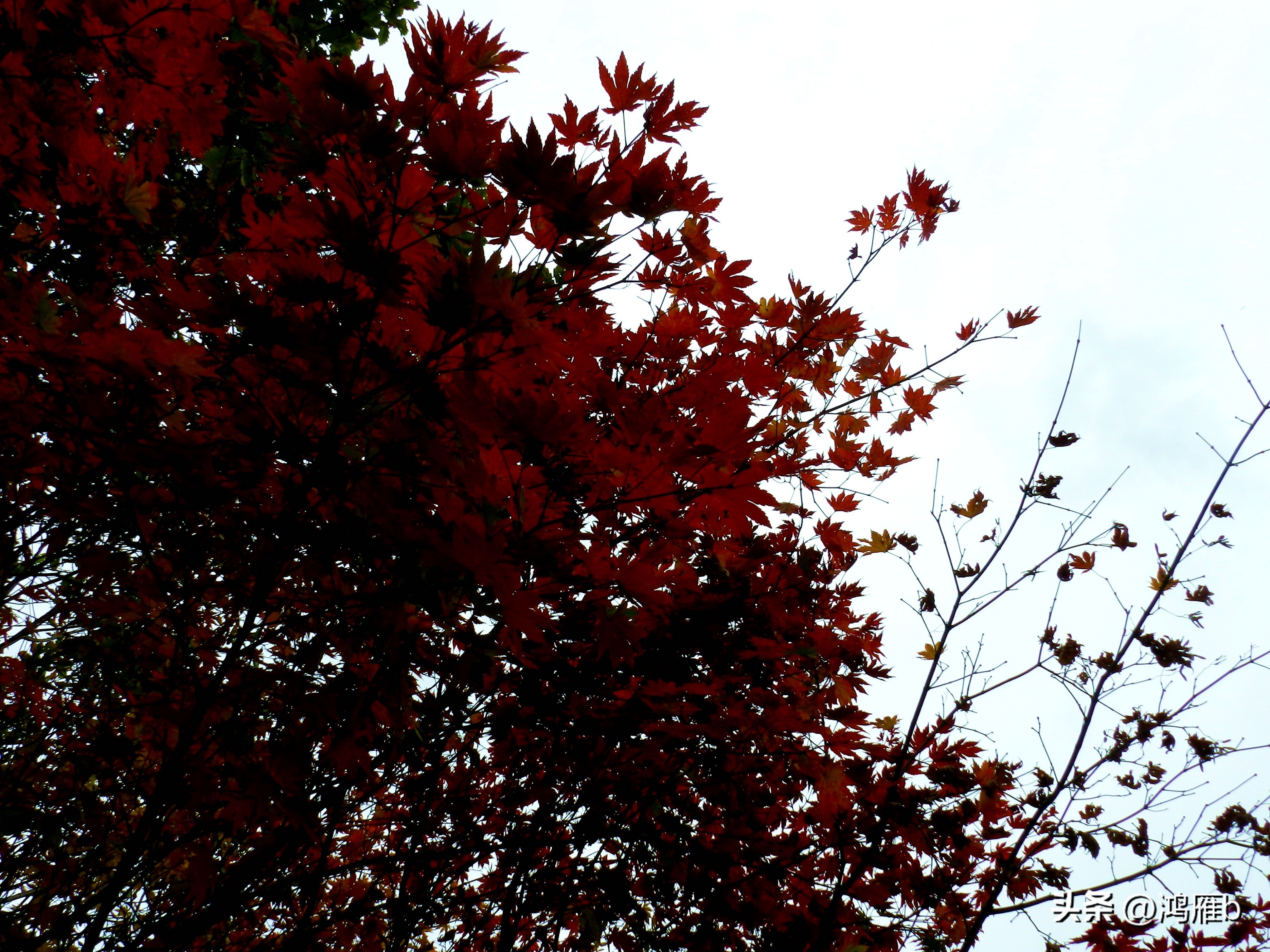 本溪温泉汤沟门票价格,本溪花溪沐枫雪温泉小镇