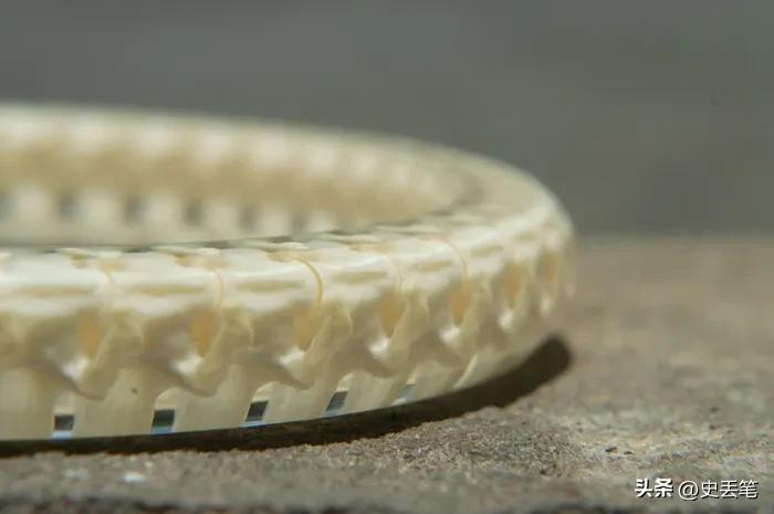 他将蛇骨做成戒指和首饰，最高一件可以卖到1500万越南盾