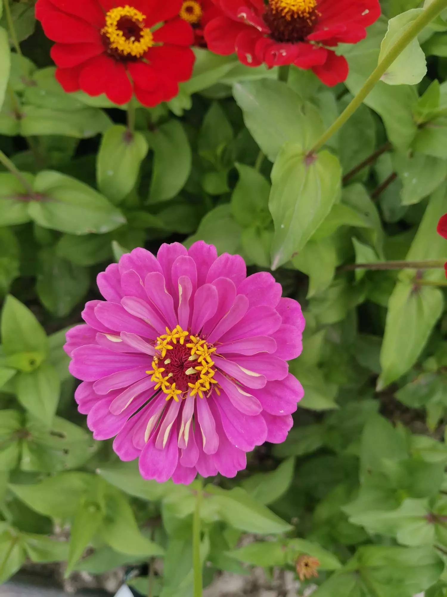 岁月斑驳留下来的都是静好时光,岁月斑驳愿时光静好