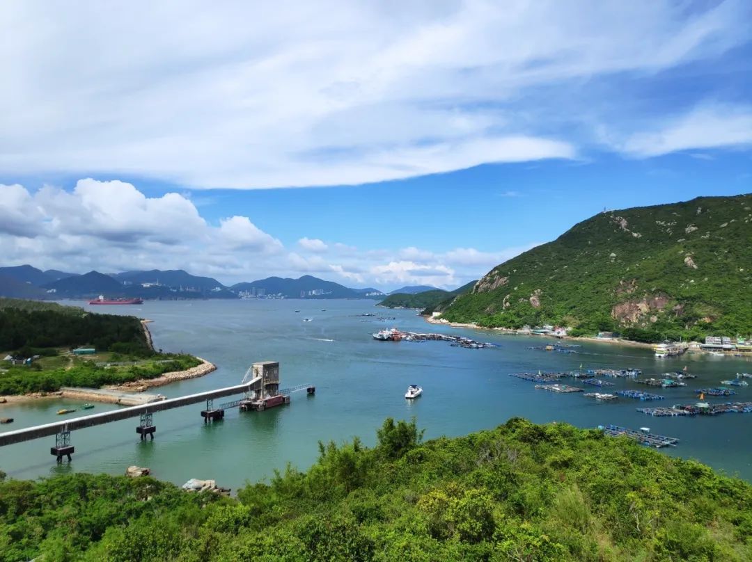香港自由行攻略必买的东西,香港一日游吃喝玩乐最佳攻略路线