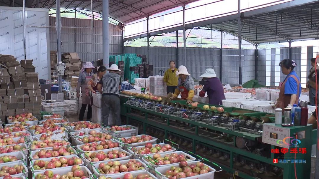 一线调研看发展,一线走访调研
