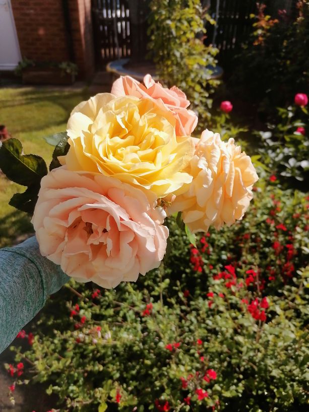 独居女生的心里话,独居一个人的句子说说心情