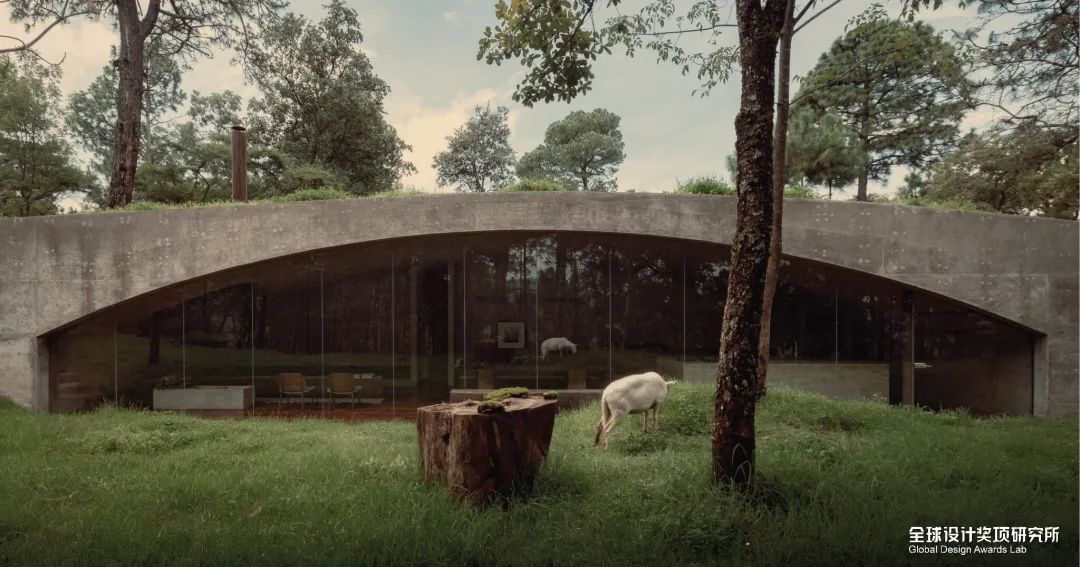 国外篇|2022WDA世界设计奖获奖名单公布