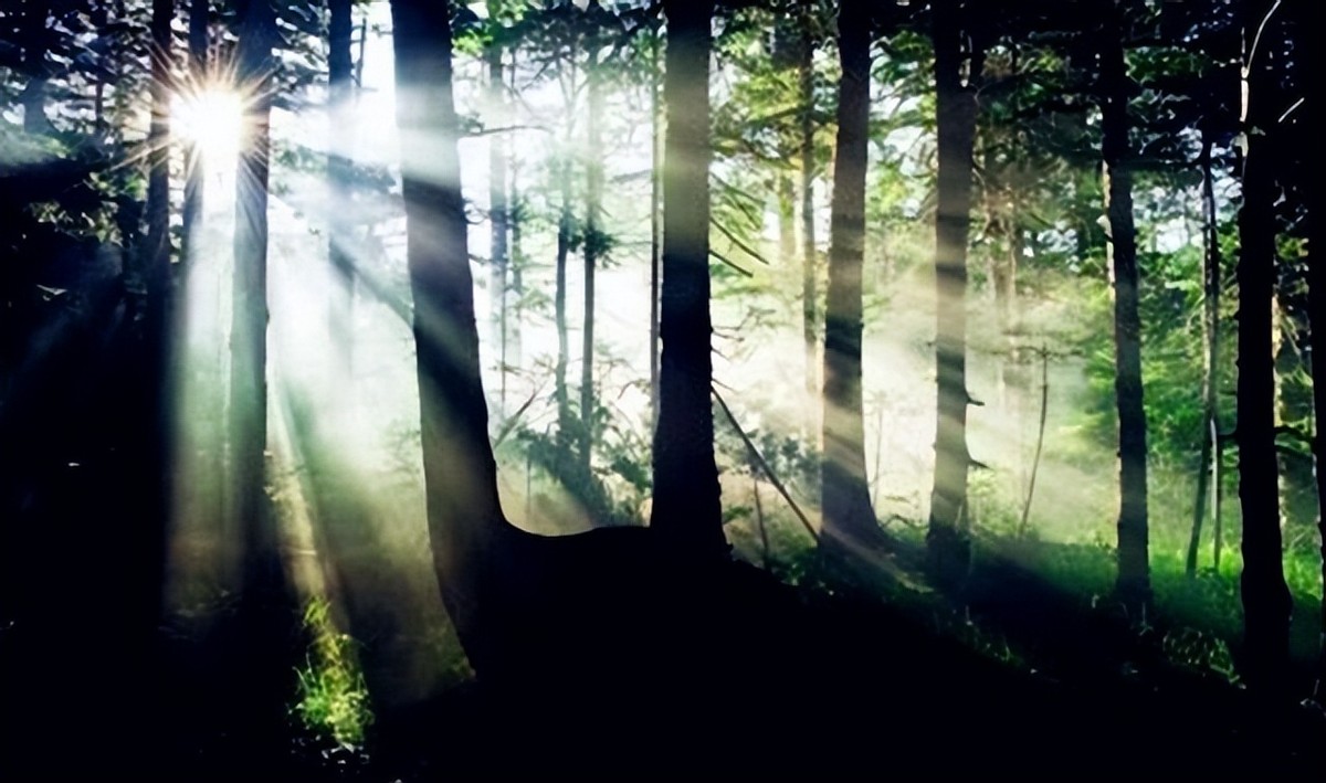 四川瓦屋山迷魂凼探险,四川瓦屋山迷魂凼是真的吗