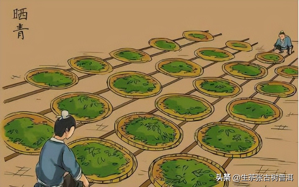 普洱茶八奇图片,普洱茶8代表什么意思