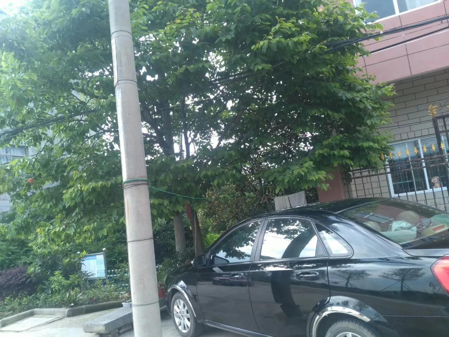 09年的别克凯越还能入手吗,09年别克凯越还可以开几年