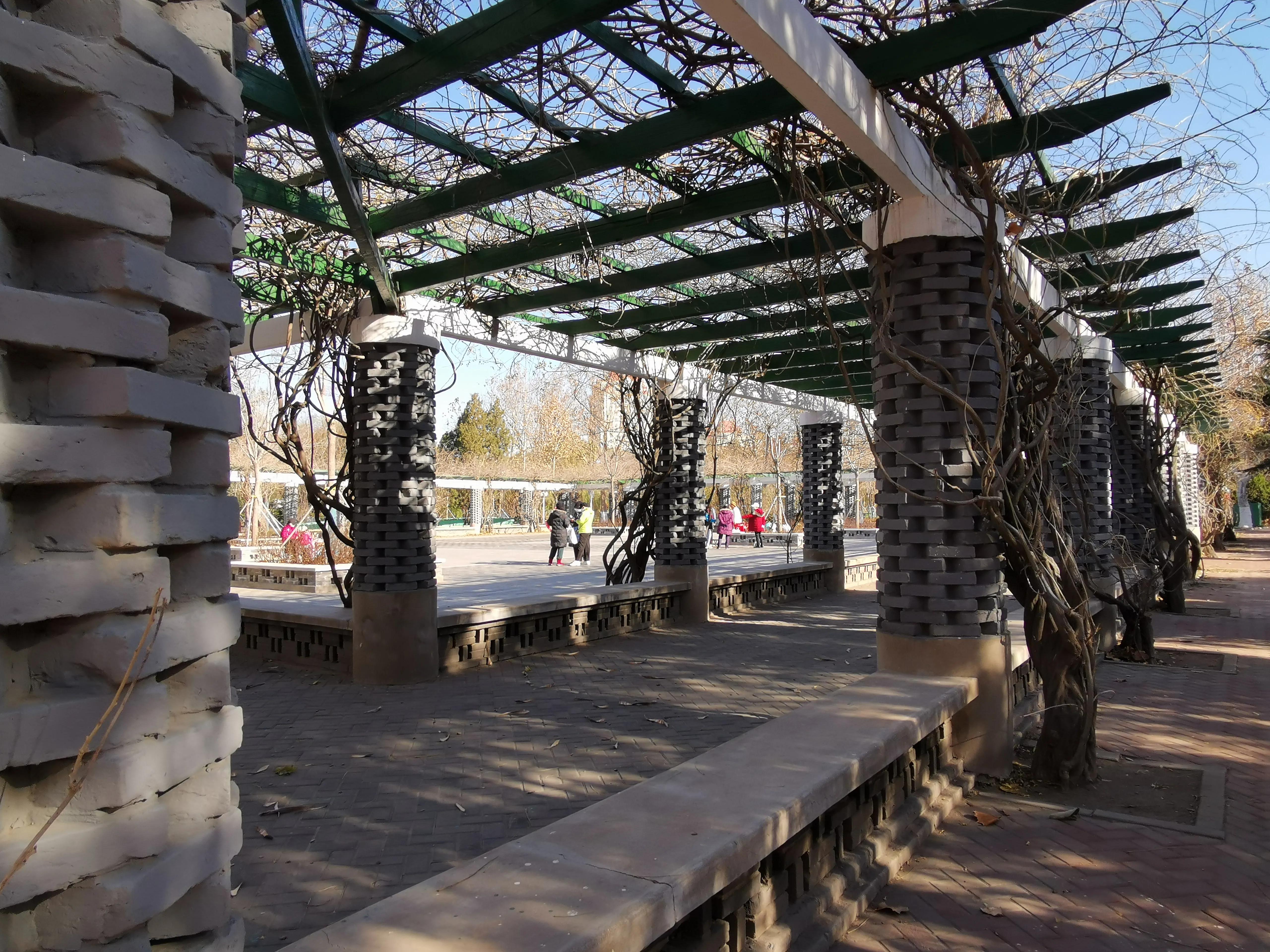 疫情下的天津晚上,天津河东区二宫附近有疫情吗