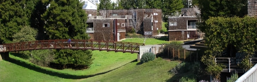 ucsantacruz,世界上漂亮的大学开普敦大学