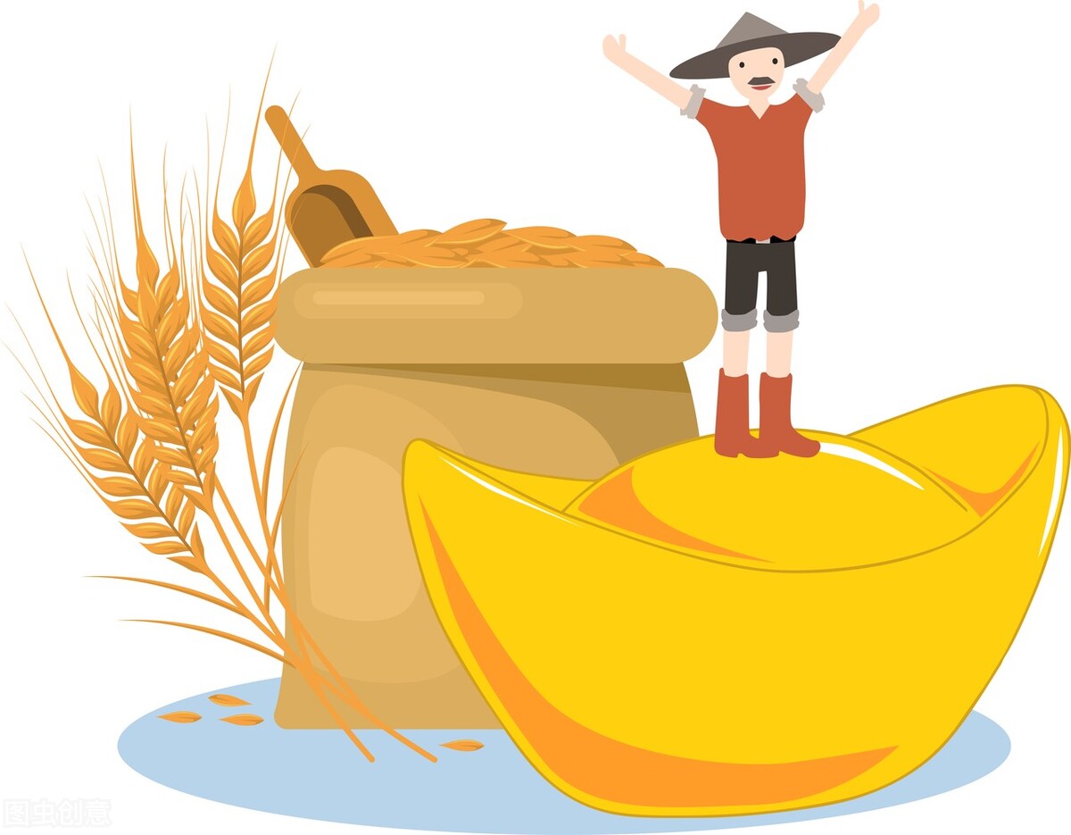 粮食补贴款没到账该找谁要,粮食补贴没到账怎么办