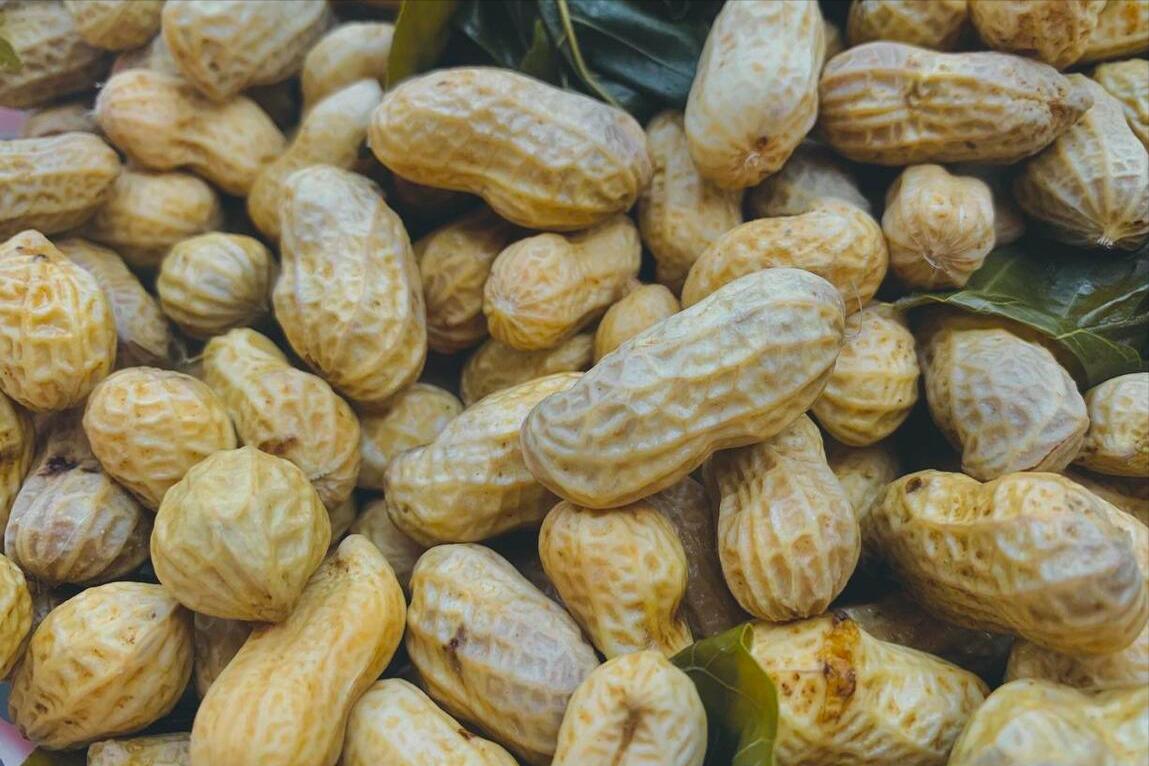 水煮花生为什么煮不软,水煮花生煮好不进味怎么办