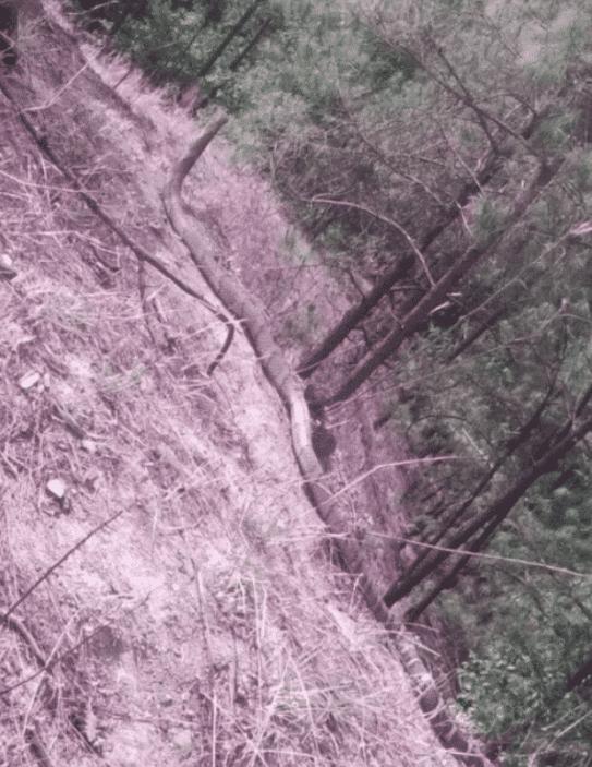 “女友闺蜜深夜约我看海，该注意啥？”