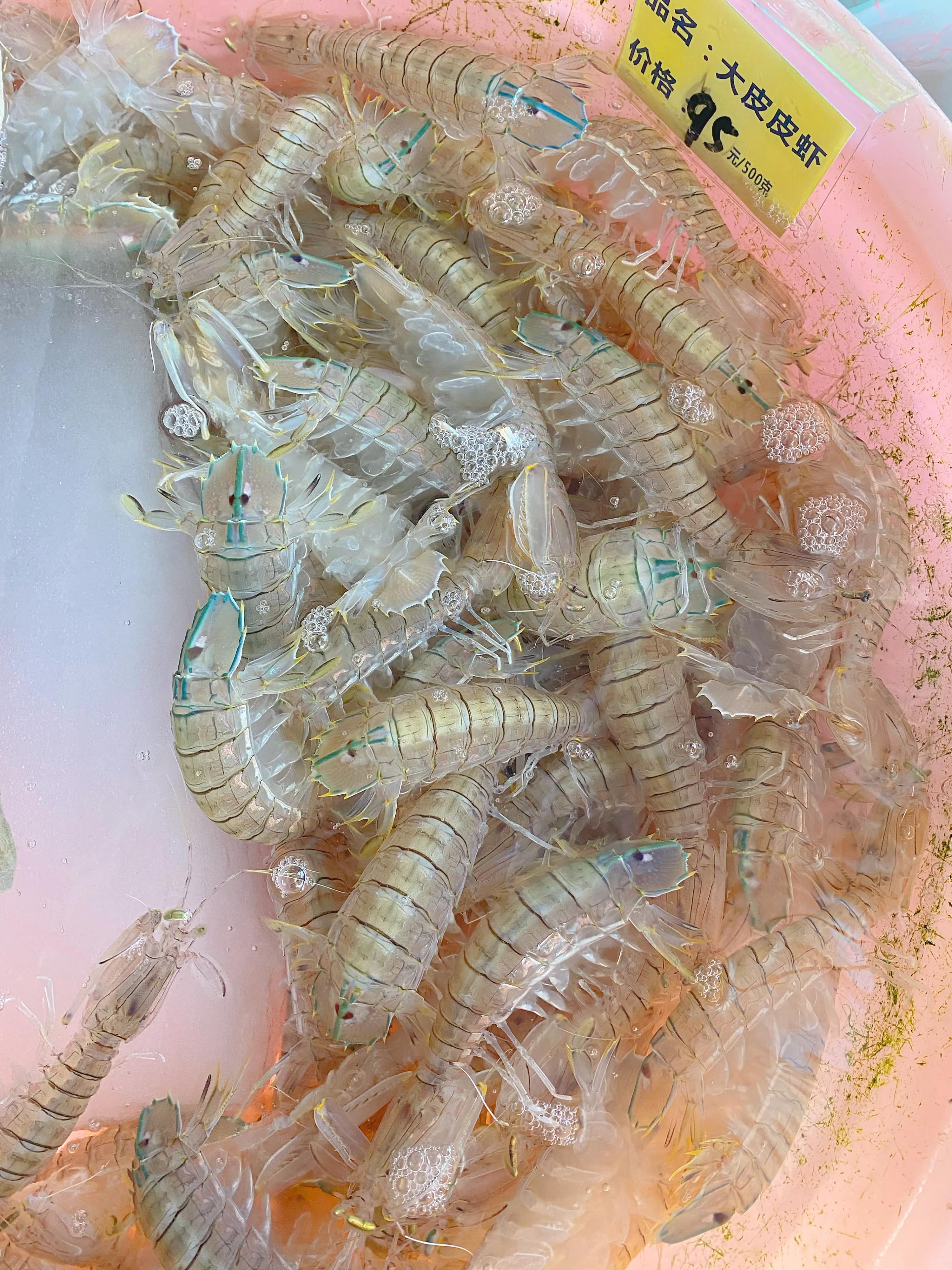 近日涠洲岛海鲜攻略,涠洲岛海鲜怎么吃比较划算