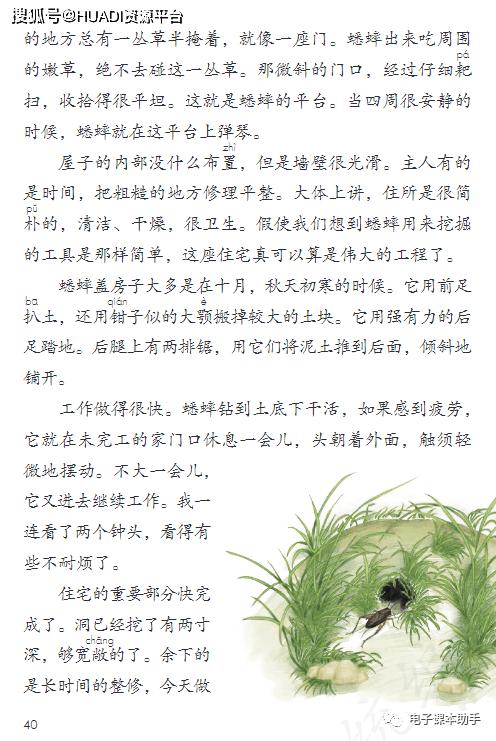 2022四年级下册语文电子版课本,四年级上册语文2021一2022期末卷