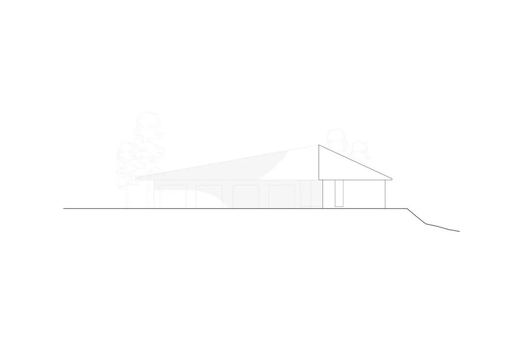 他们把家搬到了森林里，一间森林