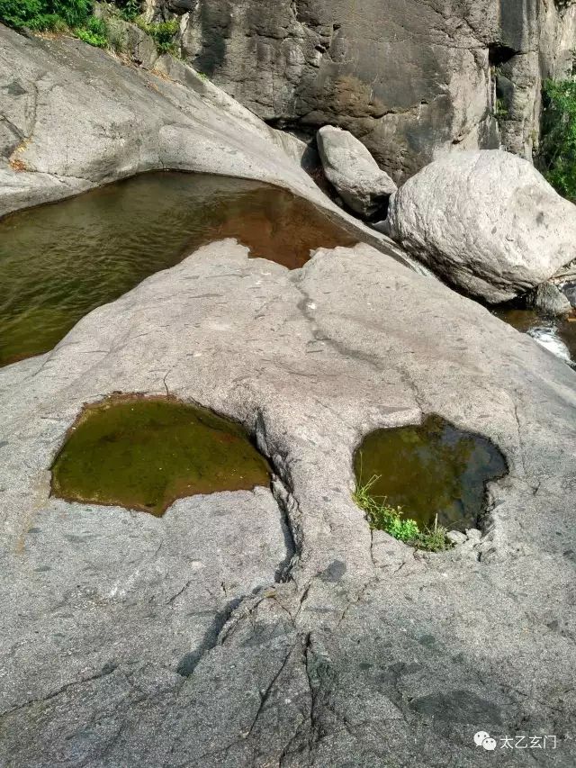 小五台山金莲花坡,小五台金莲花