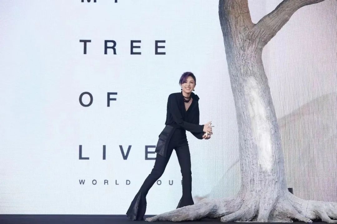 spotify最新信息,spotify会员低价区