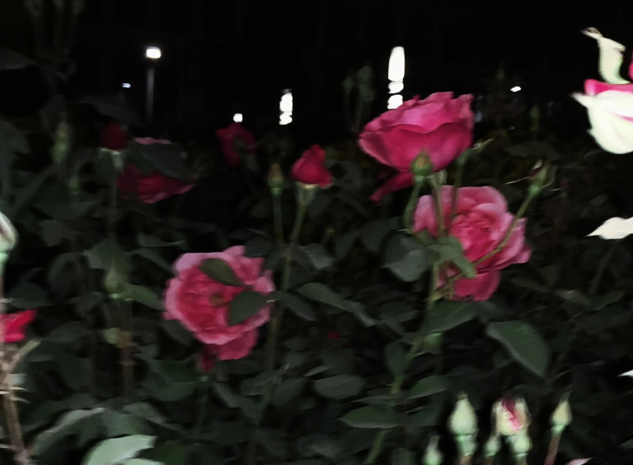 你的室友有哪一刻恶心到你了？​所以同性恋有罪？