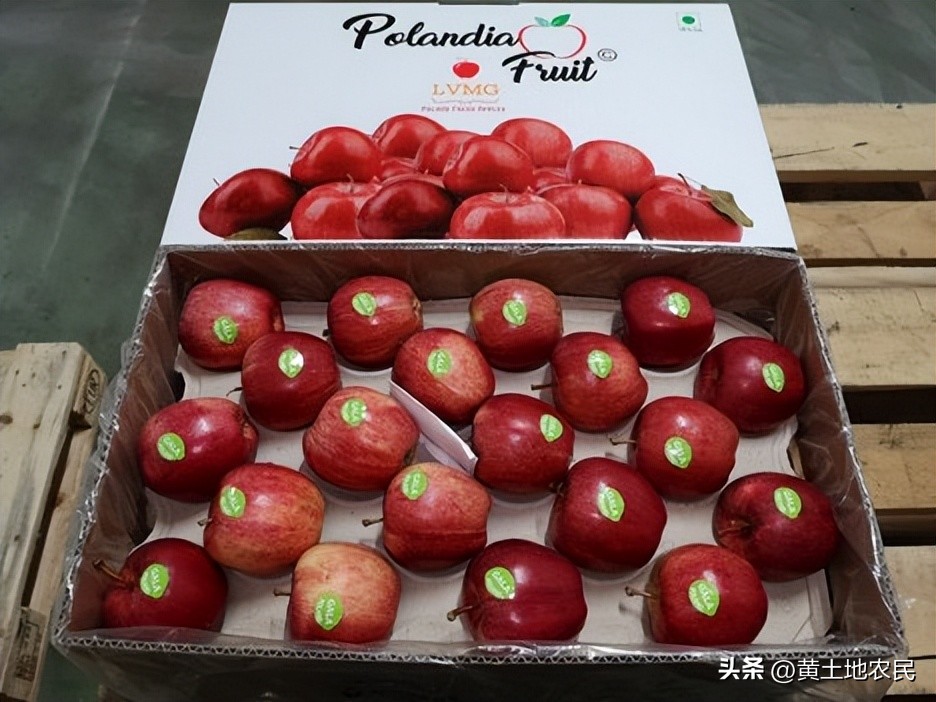 亚洲对波兰苹果的需求增加